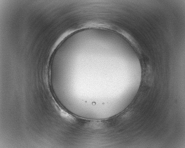 X0000082171094200701191301