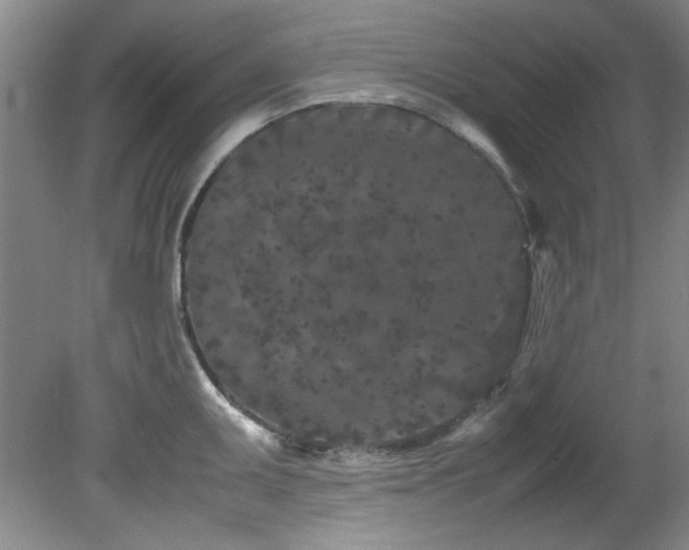 X0000082171095200701191301