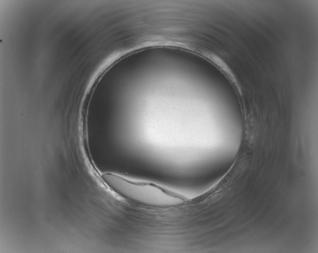 X0000082171096200701191301