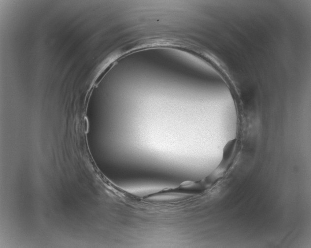 X0000082171097200701191301