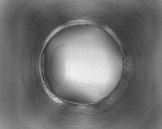 X0000082171098200701191301