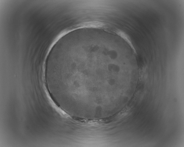 X0000082171099200701191301