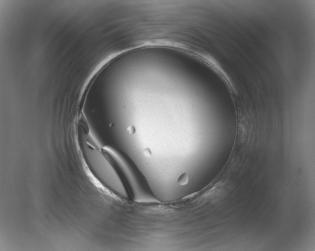 X0000082171100200701191301