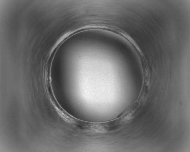 X0000082171101200701191301