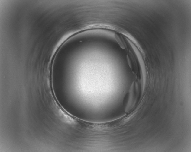 X0000082171102200701191301