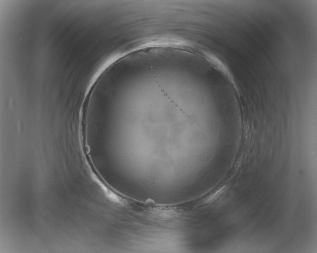 X0000082171103200701191301