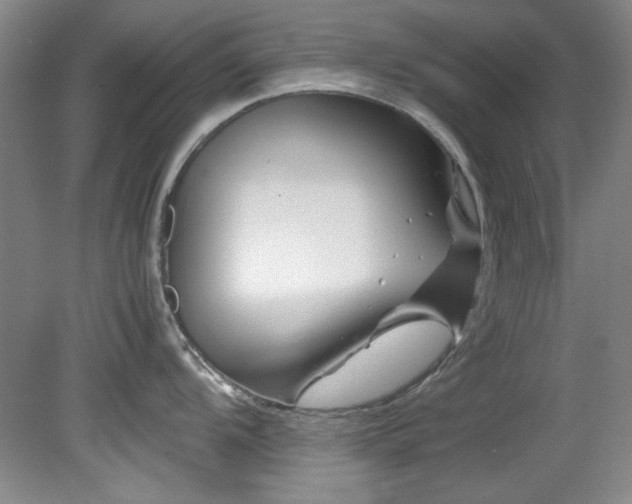 X0000082171104200701191301