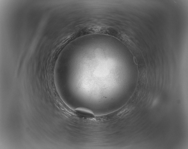 X0000082171105200701191300