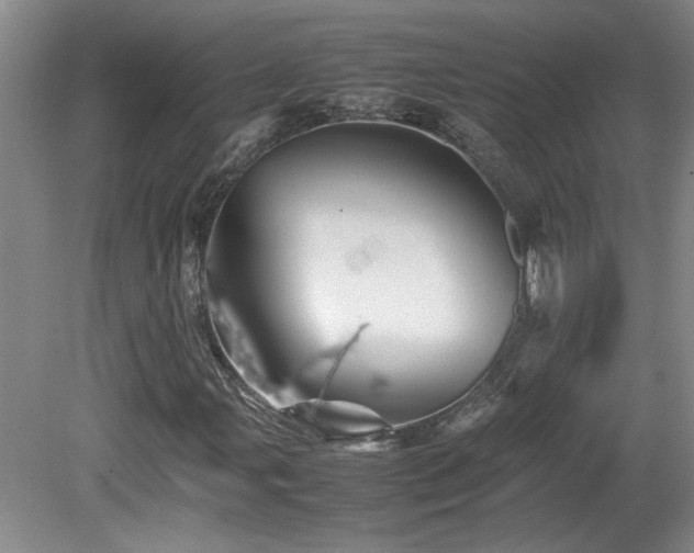 X0000082171107200701191300