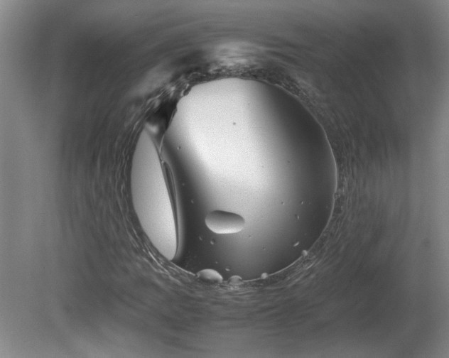 X0000082171109200701191300