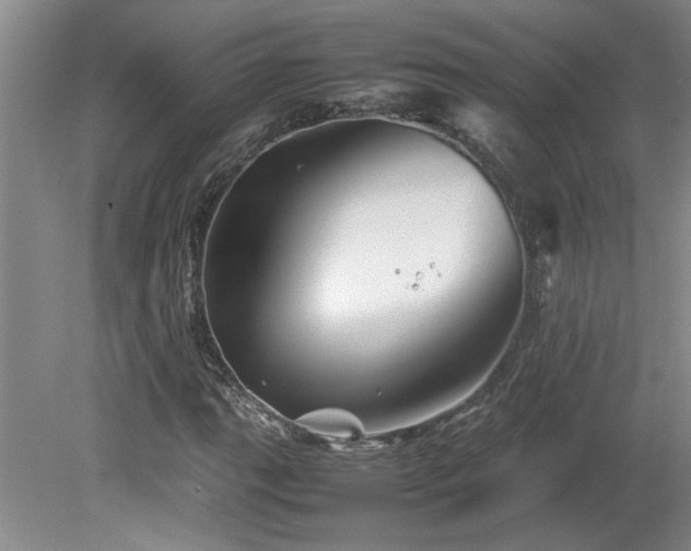 X0000082171111200701191300