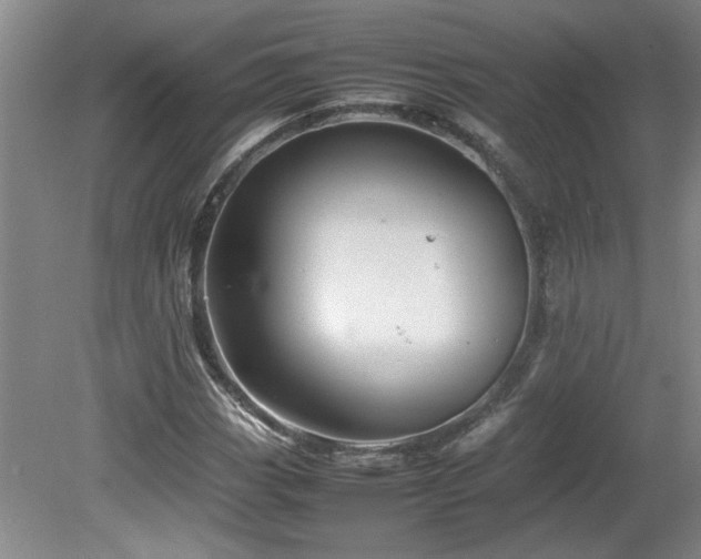 X0000082171113200701191300