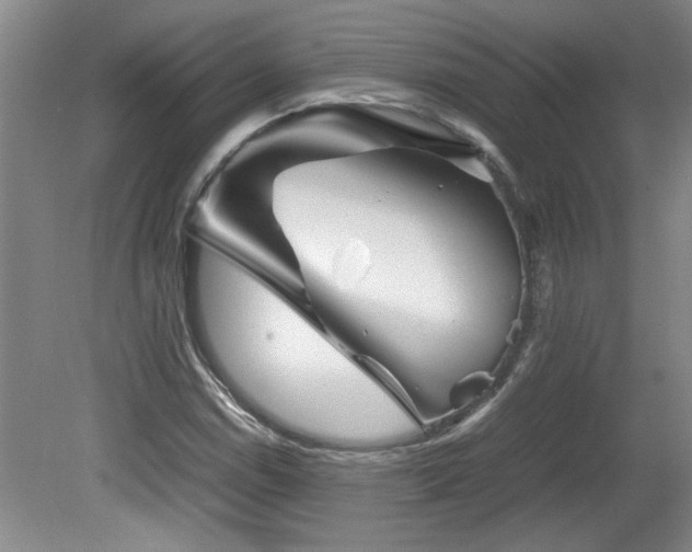 X0000082171114200701191300