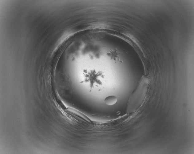 X0000082171115200701191300