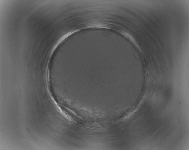 X0000082171125200701191300