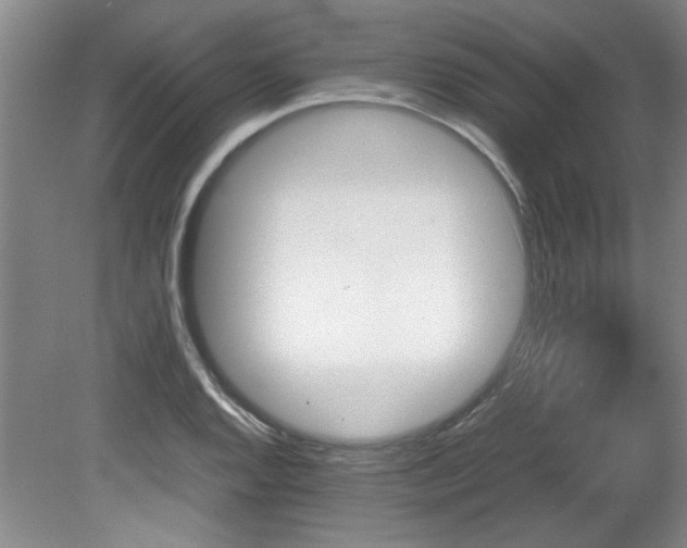 X0000082171128200701191300