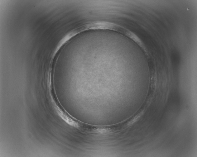 X0000082171130200701191300