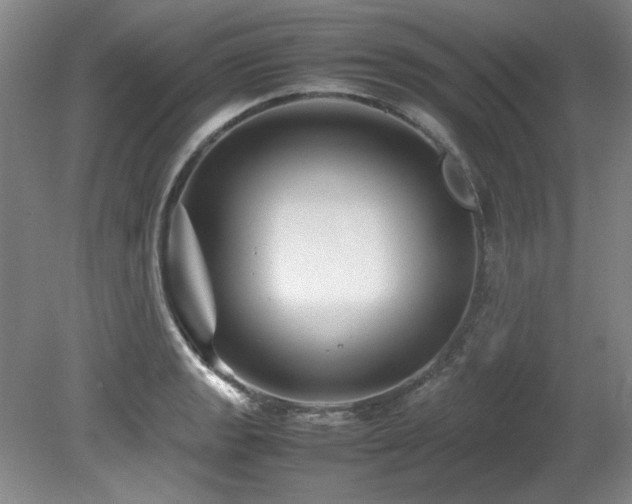 X0000082171133200701191300