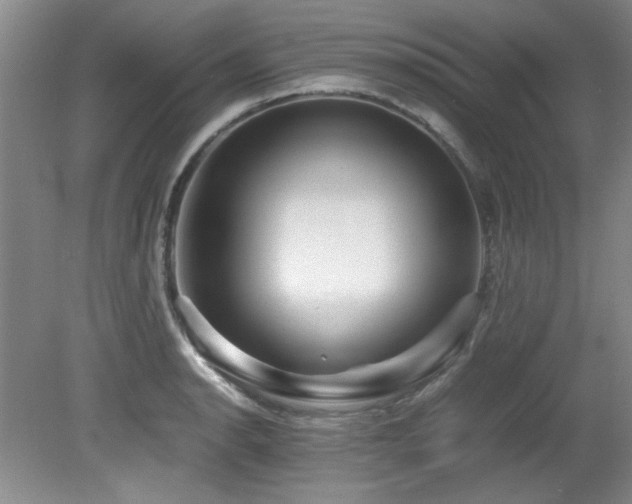 X0000082171134200701191300