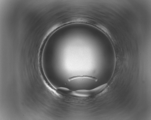 X0000082171135200701191300