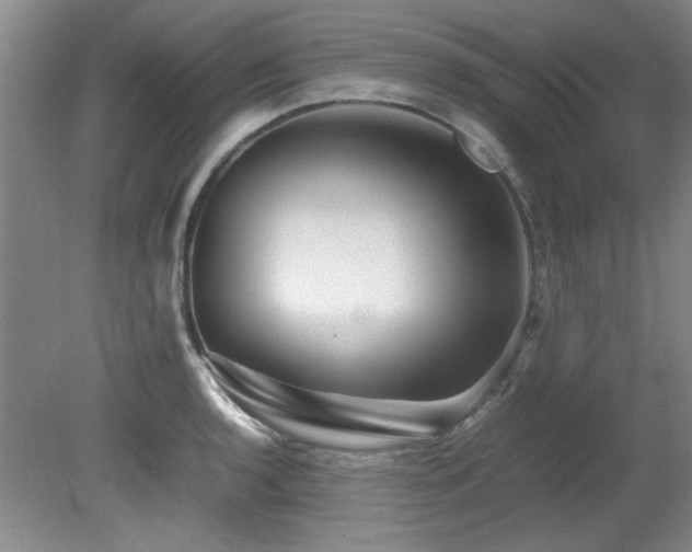 X0000082171136200701191300