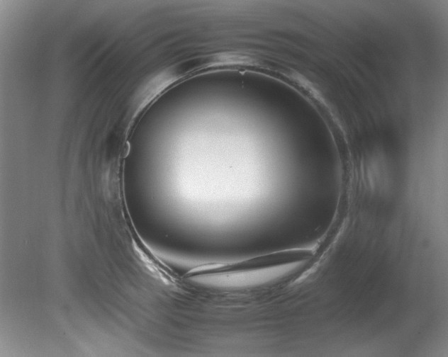 X0000082171137200701191301