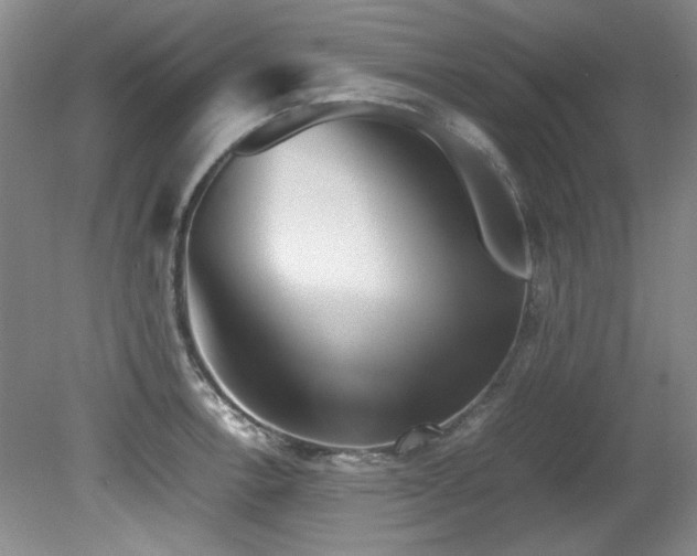 X0000082171138200701191301