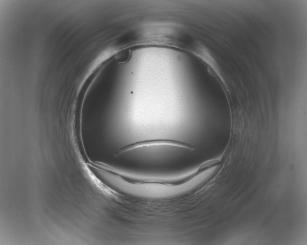 X0000082171139200701191301