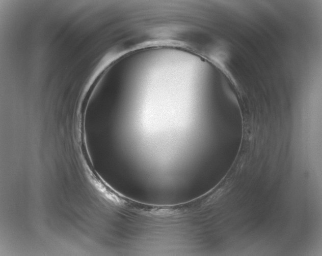 X0000082171140200701191301