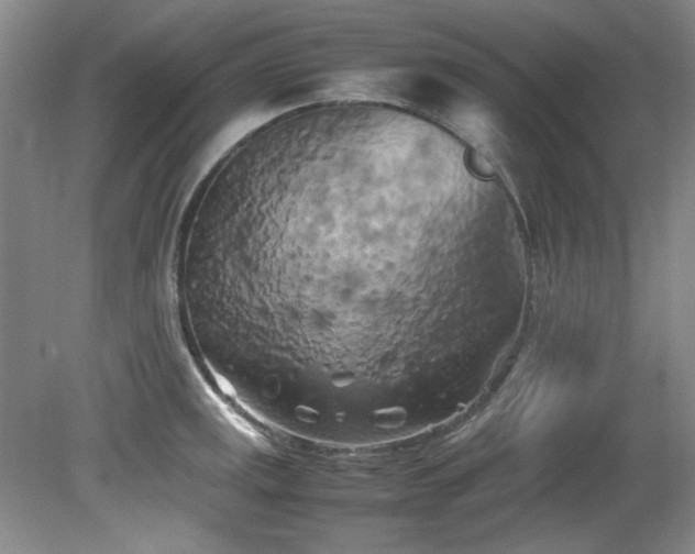 X0000082171141200701191301