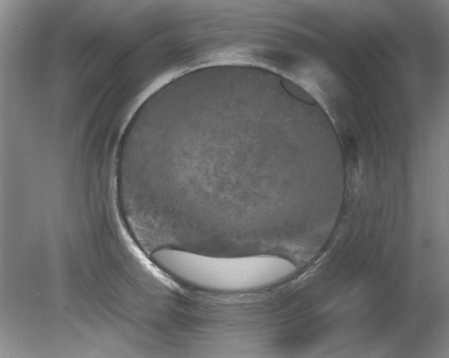 X0000082171142200701191301