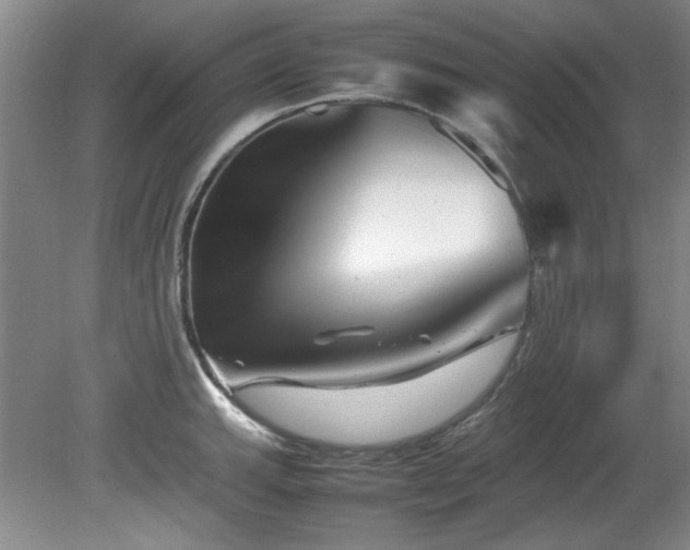 X0000082171143200701191301