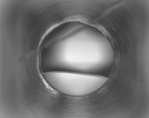 X0000082171144200701191301