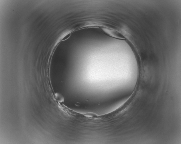 X0000082171145200701191301