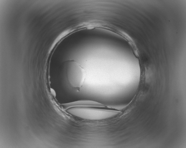 X0000082171146200701191301