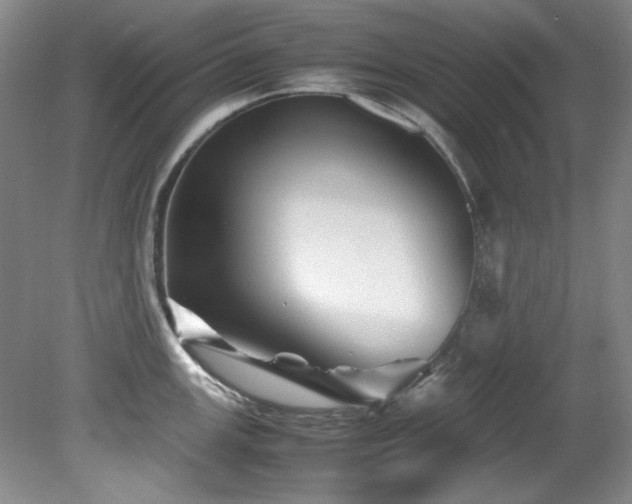 X0000082171147200701191301