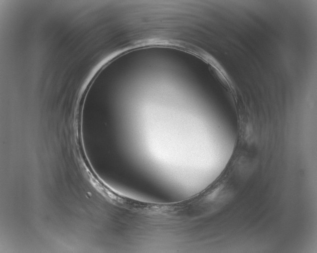 X0000082171148200701191301