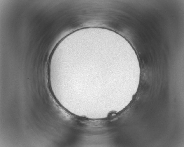 X0000082171150200701191301