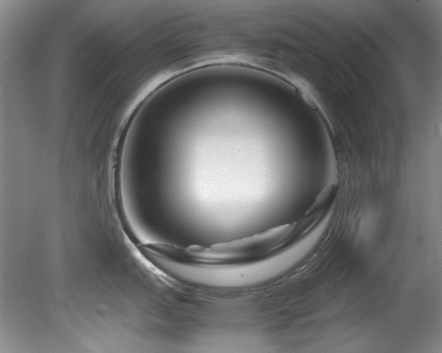 X0000082171151200701191301