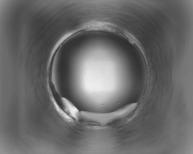 X0000082171152200701191301