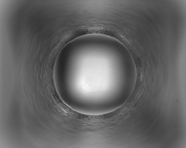 X0000082171153200701191300