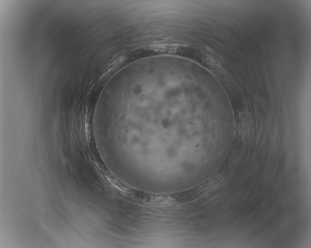 X0000082171154200701191300