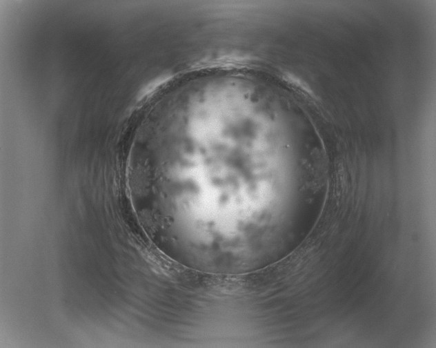 X0000082171158200701191300