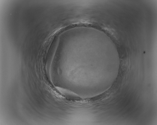 X0000082171159200701191300