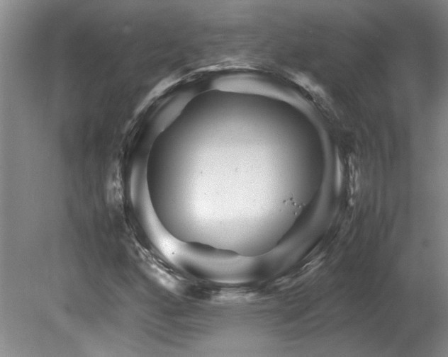 X0000082171160200701191300