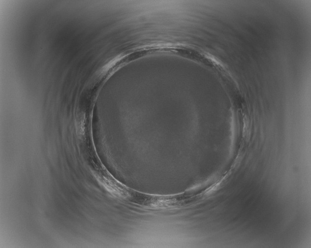 X0000082171161200701191300