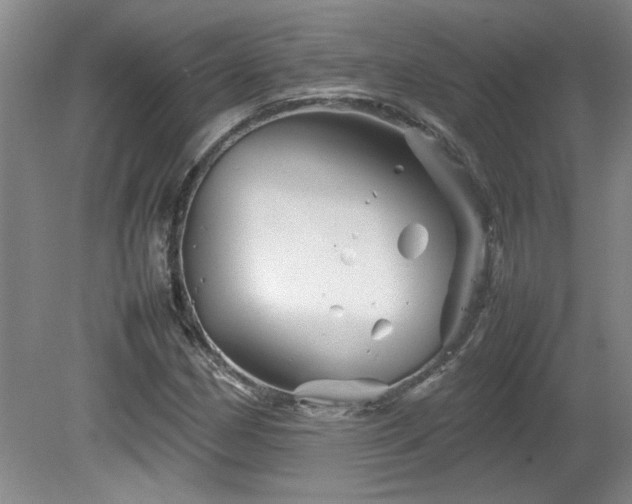 X0000082171162200701191300