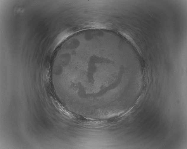 X0000082171163200701191300