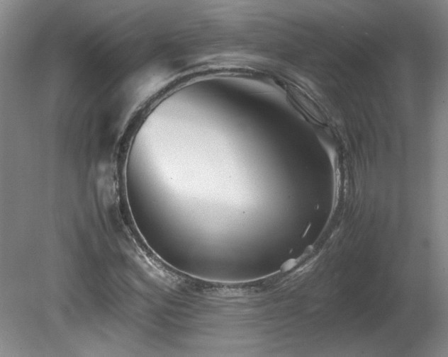 X0000082171164200701191300