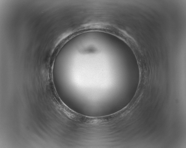 X0000082171166200701191300